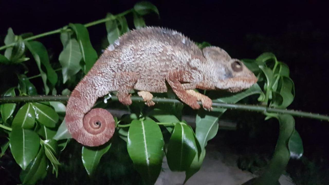 Sanjeela-Plage Coco Antsiranana Екстериор снимка